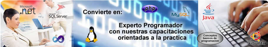 Experto programador
