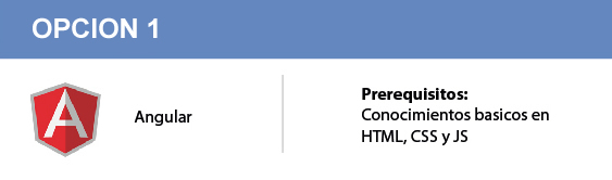 cursos de angular